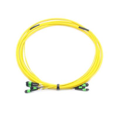 MT tabanlı çoklu fiber bağlantısı olan 48F MPO/MTP gövde kablosu