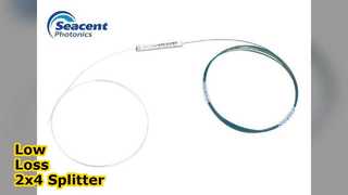 2x4 PLC Ayırıcı Düşük Kayıp G657A1 1m Özelleştirilmiş